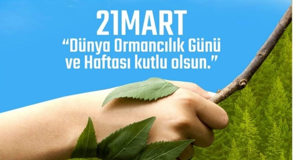 ORMAN HAFTAMIZ KUTLU OLSUN