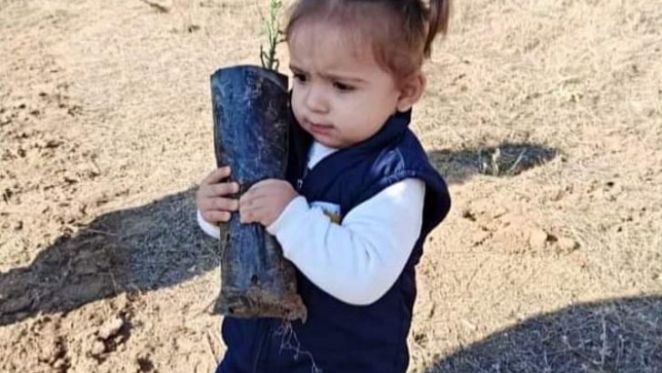 Milli Ağaçlandırma Günü